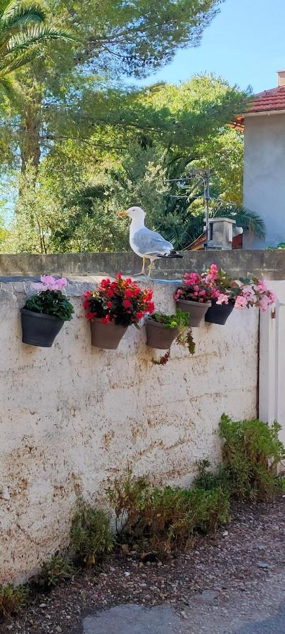 Joli Studio Les Pieds Dans L Eau Avec Place De Parking Gratuite Bandol Dış mekan fotoğraf